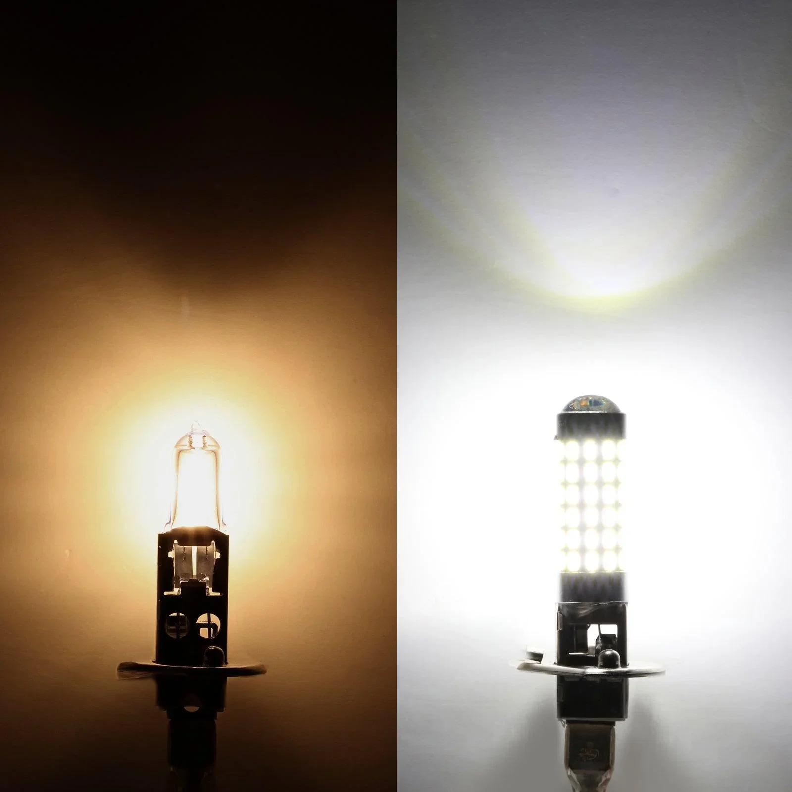 H1 LED Fog Light/DRL Bulbs 6W 2000ML 6500K White | 2 Bulbs - Image 6